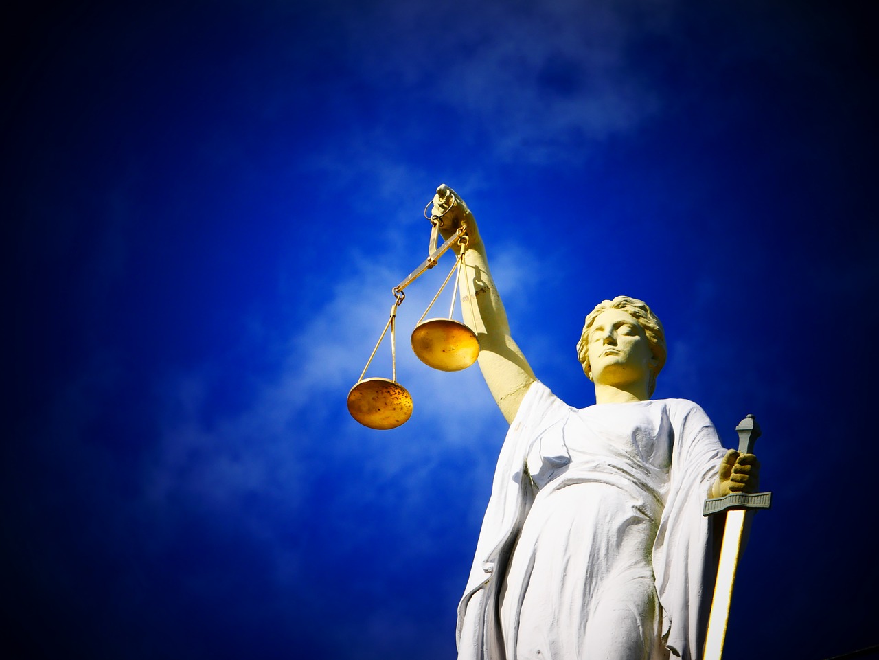 Expert Witness Services